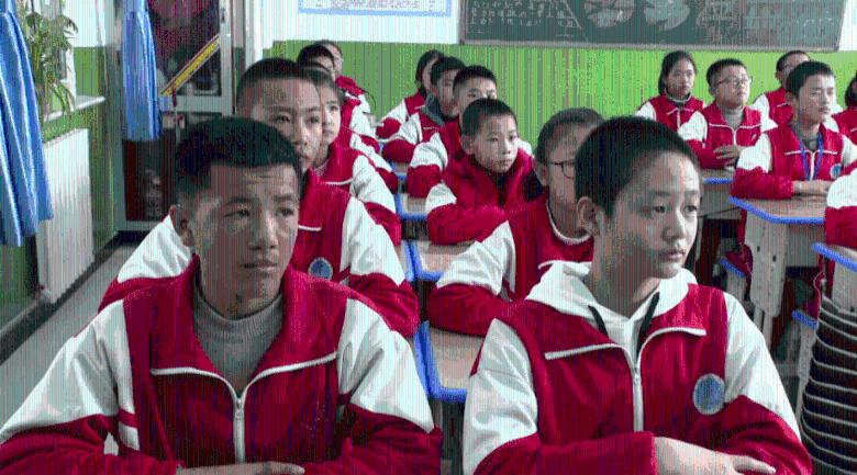 如何评价杨紫在《余生,请多指教》这部剧中的表现?知识星球平台—专业知识分享社群