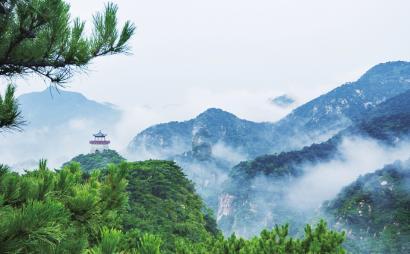 外地户口在天津交灵活就业保险到退休年龄没交满15年能不能一次性补清?平台-有问必答,快速解答你的疑问